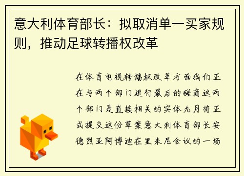 意大利体育部长：拟取消单一买家规则，推动足球转播权改革
